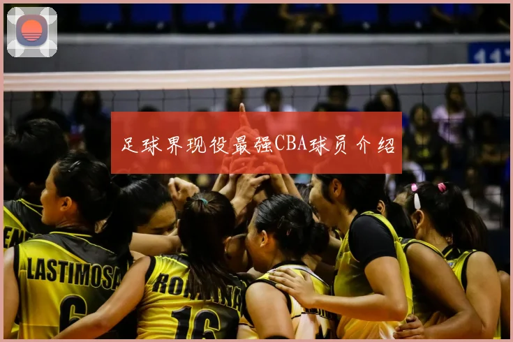 足球界现役最强CBA球员介绍