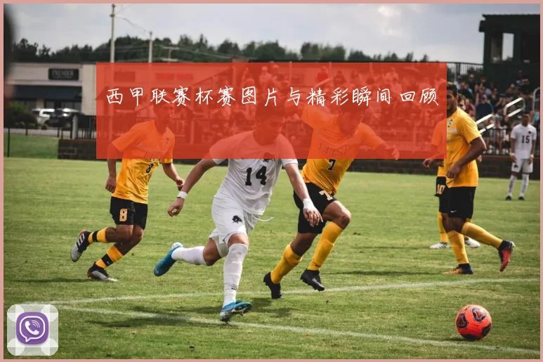 西甲联赛杯赛图片与精彩瞬间回顾